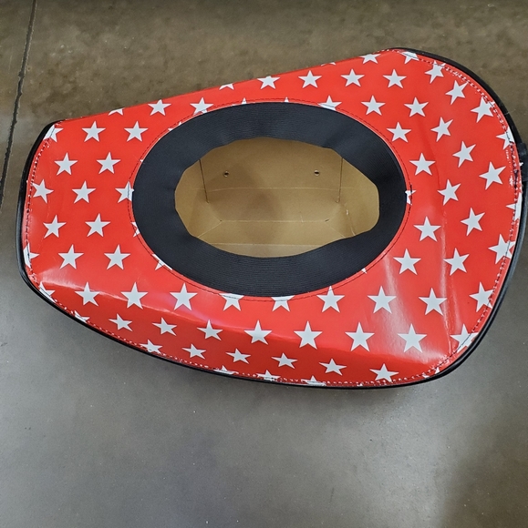 LAST ONE BUSCH LIGHT PARTY HAT - Picture 5 of 5